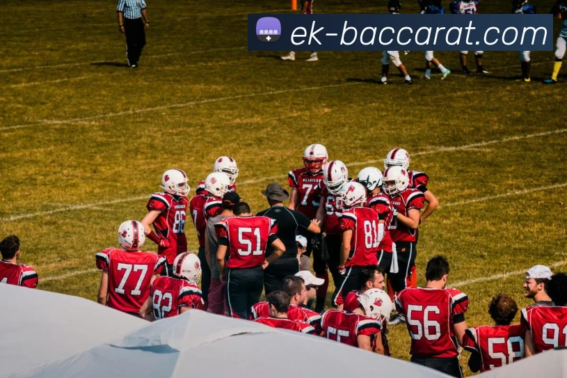 百家乐官网服务体系